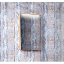 Зеркало-шкаф Бриклаер Форест 40 Зеркало-шкаф Бриклаер Форест 40