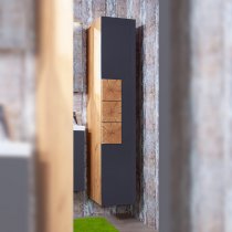 Пенал Бриклаер Форест 35 антрацит, дуб золотой (универсальный) Пенал Бриклаер Форест 35 антрацит, дуб золотой (универсальный)