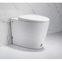 Унитаз приставной с функцией импульсного смыва Ceruttispa Kanin B-375B Унитаз приставной с функцией импульсного смыва Ceruttispa Kanin B-375B