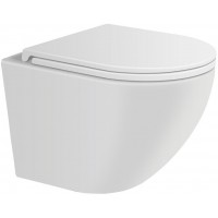Подвесной унитаз Avimano Emotion 1001010 безободковый, сиденье с микролифтом