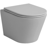 Подвесной унитаз Avimano Intuition 1000073 безободковый, сиденье с микролифтом