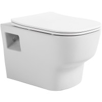 Подвесной унитаз Avimano Tradition 1000090 безободковый, сиденье с микролифтом